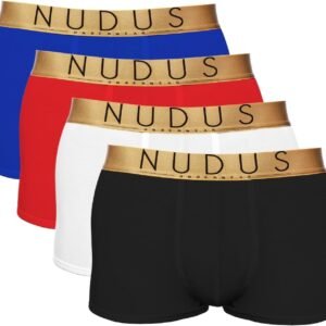 NUDUS Bamboo Rayon Underwear for Men – 4 Pack Premium Men’s Double Pouch Underwear – Sexy Mens Underwear Gift Set