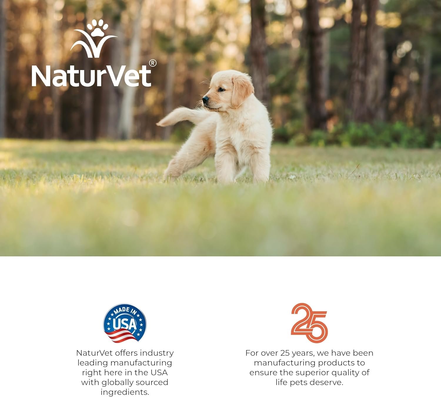 NaturVet – Potty Here Training Aid Spray | Attractive Scent Helps Train Puppies & Dogs Where To Potty | Formulated For Indoor & Outdoor Use | 32 oz - Image 8