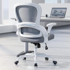 TRALT Ergonomic Office Chair – Comfy Desk Chair with Back Support, Home Office Desk Chairs, Computer Chair, 330lbs Wide Seat Big and Tall Office Chair for Executives (Grey)