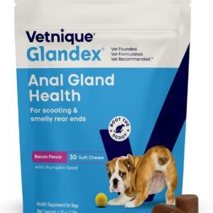 Vetnique Glandex Anal Gland Soft Chew Treats with Pumpkin for Dogs Digestive Enzymes, Probiotics Fiber Supplement for Dogs Boot The Scoot (Bacon Flavor Chews, 30 Count)