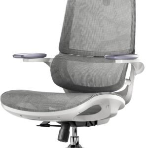 SIHOO M59AS Ergonomic Office Chair, Desk Chair with 3D Flip-up Armrests, Computer Chair with Dual Back Design and Adaptive Dynamic Lumbar Support Grey