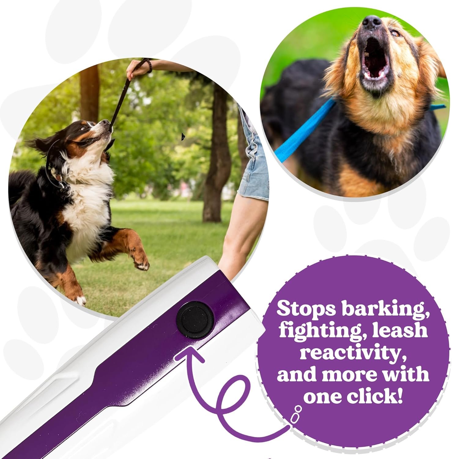 Doggie Don’t Anti Barking Device for Dogs - No Shock Bark Control & Dog Bark Deterrent - Humane Audible Dog Training Tool for Reactive Dogs, Stop Barking, Jumping & Leash Aggression - Rechargeable - Image 5