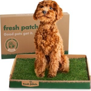Fresh Patch Real Grass Patch for Dogs, Cats, and Small-Medium Pets Under 15 Pounds – Disposable Pet Grass Pee Pads – Indoor and Outdoor Potty Training Mat (16 Inches x 24 Inches)