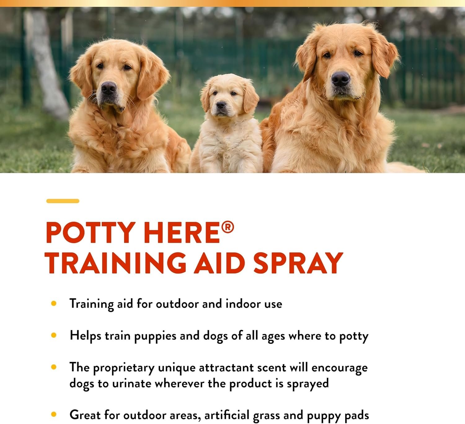 NaturVet – Potty Here Training Aid Spray | Attractive Scent Helps Train Puppies & Dogs Where To Potty | Formulated For Indoor & Outdoor Use | 32 oz - Image 5