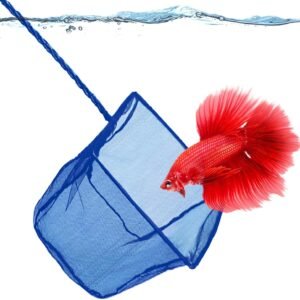 SunGrow Betta Fish Net, Secure Delicate Fin, 5×4 Inches with 11 Inches Handle, Extra Soft Nylon Net, Easy Routine Aquarium Tank Maintenance, Fish Tank Supplies