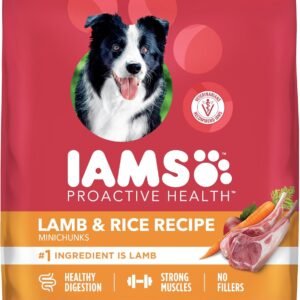 IAMS Dry Dog Food Lamb and Rice Proactive Health Food for Dogs, 15.0 lb