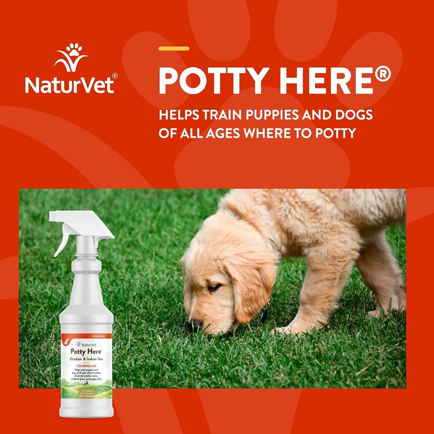 NaturVet – Potty Here Training Aid Spray | Attractive Scent Helps Train Puppies & Dogs Where To Potty | Formulated For Indoor & Outdoor Use | 32 oz - Image 4