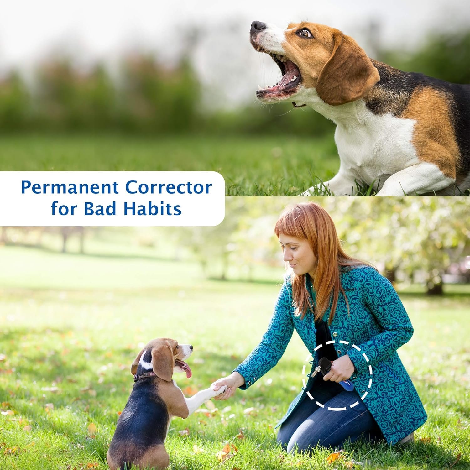 Canine Innvoations Pet Convincer Air Dog Training Deterrent Control Device Includes 7 cartridges - Image 3