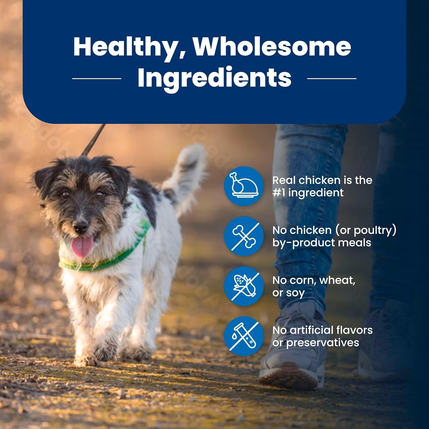 Blue Buffalo Life Protection Formula Adult Small Bite Dry Dog Food, Helps Build and Maintain Strong Muscles, Made with Natural Ingredients, Chicken & Brown Rice Recipe, 30-lb. Bag - Image 6