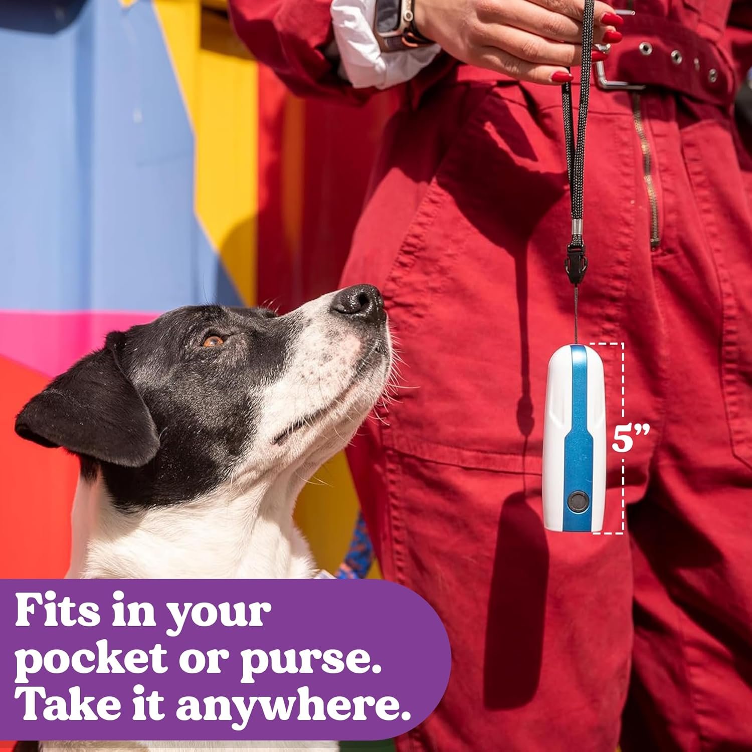 Doggie Don’t Anti Barking Device for Dogs - No Shock Bark Control & Dog Bark Deterrent - Humane Audible Dog Training Tool for Reactive Dogs, Stop Barking, Jumping & Leash Aggression - Rechargeable - Image 4