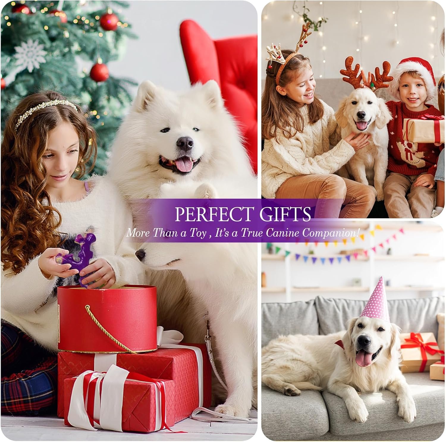 Frienhund Tough Dog Toys for Aggressive Chewers 3 Pack, Indestructible Dog Toys for Large Dogs, Dog Chew Toys, Aggressive Chew Toys to Keep Them Busy, Dog Bones for 15-100lbs Puppy/Medium/Large Breeds - Image 6