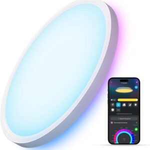 Govee Smart Ceiling Light, RGBIC LED Ceiling Light Fixture, 2400LM Flush Mount Light Fixture, DIY Colors, Works with Alexa, 2200K-6500K Lights for Bedroom, Living Room,12 Inch, 1 Pack (White)