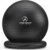 ProBody Pilates Yoga Ball Chair, Exercise Ball Chair with Base or Stand for Home Office Desk Sitting or Workout, Balance Ball & Stability Ball Seat for Back, abs