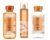 B & Body Works Warm Vanilla Sugar – Full Size Set – Shower Gel, Body Lotion, Fine Fragrance Mist