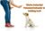 Dog Stop! – Stop Barking, Jumping, Chasing, Fighting, Scratching, Chewing, Biting & More! Safe, Humane, Effective Pet Behavior Correcting and Training Tool
