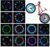 Bike Wheel Lights (2 Pack) – Waterproof LED Bicycle Spoke Tire Lights – Great Gift for Kids Adults – 30 Different Patterns Change – Bike Accessories – Black