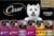 Cesar Wet Dog Food Steak Lovers Variety Pack, Adult, Wet Food for Dogs with Real Meat, 3.5 oz Easy Peel Trays, 36 Count