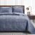 Love’s cabin Quilts for Queen Bed Blue Bedspreads – Soft Bed Summer Lightweight Bedspread Comforter – Modern Style Coin Pattern Coverlet for All Season – 3 Pieces (1 Quilt, 2 Pillow Shams)